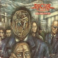 Spectral - Neural Correlates of Hate