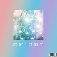 ARDO - Prisma