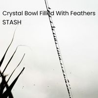 STASH - Crystal Bowl Filled With Feathers