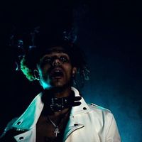 SIX - WOA (Explicit)