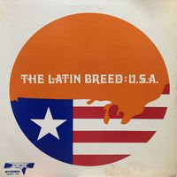 Latin Breed - U.S.A