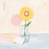 Zia - Sunflower