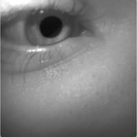 cartier - shhh