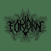 Forlorn - A Lesson Lived Is a Lesson Learned (Cover) (Explicit)