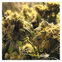 Plateau - Kushbush + Music for Grassbars (Special Edition)