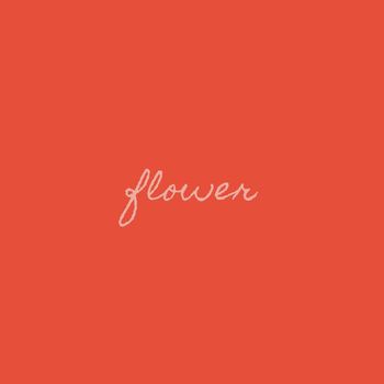 Takis - Flower