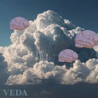 VEDA - Obviously