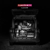 Funk Rimini - Flowsane