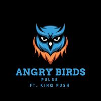 Pulse - Angry Birds (feat. King Push) (Explicit)