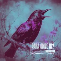 Vince - Para Onde Ir? (Edição Comemorativa 15 Anos)