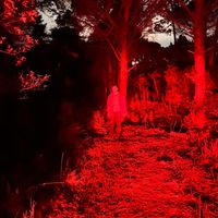 VITRALL - Una Abraçada Al Bosc