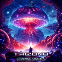 Trizono - Strange Signals
