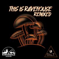 S.A.L.T. - This Is RaveHouse Remixed