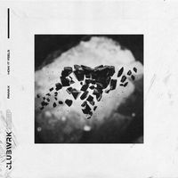 Pawax - How It Feels