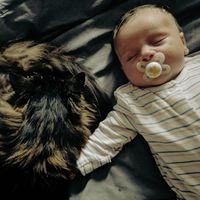 Music For Cats - Cat Purrs and White Noise To Help My Baby Sleep