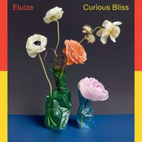 Eluize - Curious Bliss