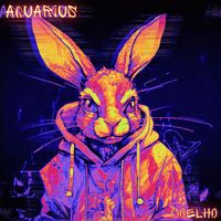 Aquarius - Coelho
