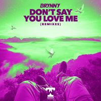 Brynny - Don't Say You Love Me (Remixes)
