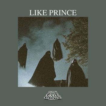 DVRX - LIKE PRINCE (Explicit)
