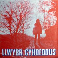 Llwybr Cyhoeddus - Yn Yr Oriel