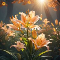 Faro - October Lily
