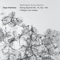 Nightingale String Quartet - String Quartet No. 16, Op. 146: I. Allegro non troppo (Single)