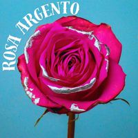 PIERO - Rosa argento