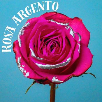 PIERO - Rosa argento