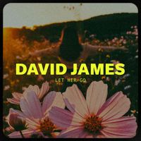 David James - Let Her Go