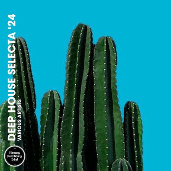 Various Artists - Deep House Selecta '24