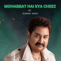 KUMAR SANU - MOHABBAT HAI KYA CHEEZ
