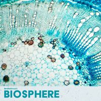 Charlie Tenku - Biosphere