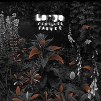 Lo'Jo - Feuilles fauves