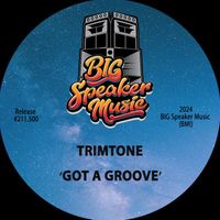 Trimtone - Got A Groove