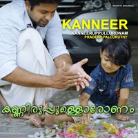 Pradeep Palluruthy - Kanneeruppuloronam (Kanneer)