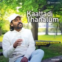 Vidhu Prathap - Kaattaadi Thanalum (Recreated Version)