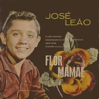 José Leão - Flor Mamãe
