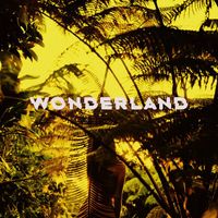 Sane - Wonderland