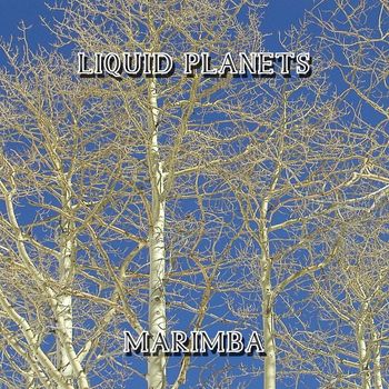 LIQUID PLANETS - Marimba