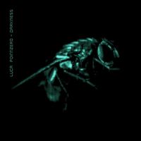 Luca Pointzero - Darkness
