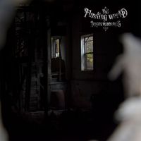 The Floating World - Impermanence