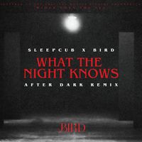 Bird - What The Night Knows (After Dark Remix)