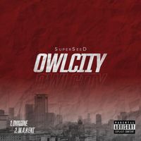 SuperSeeD - Owl City (Explicit)