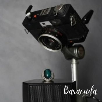 BARACUDA - alone