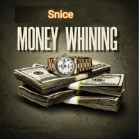 Snice - Money Whining (Explicit)