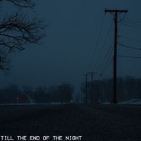 Synthaxis - Till the End of the Night