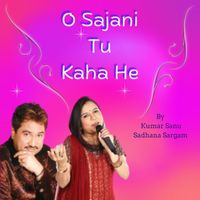 KUMAR SANU, SADHANA SARGAM - O SAJANI TU KAHA HE