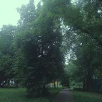 KVAZAR - 23 (Explicit)