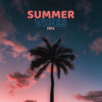Various Artists - Summer Vibes 2024