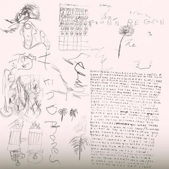 Fionn Regan - HEADPHONES